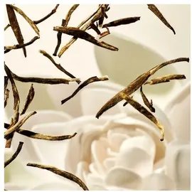 RITUALS The Ritual of Karma Mini Shower Foam