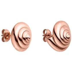 Purelei Ohrringe Nautical Small in Form einer Muschel-Spirale Roségold Damen 