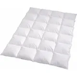 Traumschlaf Daunendecke Arktis warm, Füllung: 90% Daunen, 10% Federn 155x220 cm
