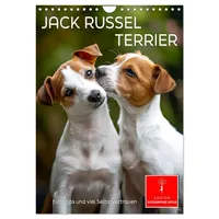 Calvendo Jack Russel Terrier - furchtlos und viel Selbstvertrauen