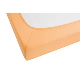 Biberna Spannbettlaken Frottee-Stretch 90 x 190 - 100 x 200 cm orange