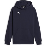 Puma Teamgoal Casuals Hoody Jr Pullover