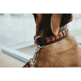 Hunter Verstellbare Führleine cognac