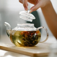 TEA CAA Glas Teekanne Herdsicher - Klare Teekanne mit abnehmbarem Infuser 800ml | Lose Blatt und Blühender Teebereiter | Teekanne Glas mit Herausnehmbarem Teesieb | Hitzefest und Mikrowellenbeständig