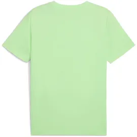 Puma Unisex ESS No. 1 Logo Tee (s) T-Shirts, Spring Fern,