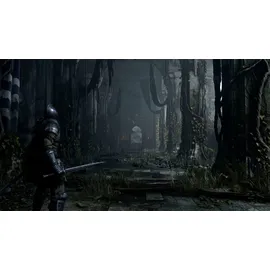 Demon's Souls (USK) (PS5)