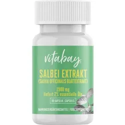 SALBEI EXTRAKT 1900 mg Salvia officinalis veg.Kps. 90 St.