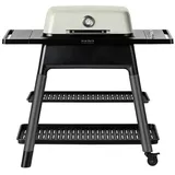 everdure Force 2 Gasgrill stone