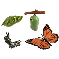 EDUPLAY Lernspielzeug Lebenszyklen Schmetterling