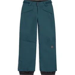 O'Neill Hammer Snow Pants alma steel (15060) 164