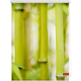 Lichtblick Seitenzugrollo Rollo Klemmfix, ohne Bohren, Verdunkelung, Bambus Grün, 100 x 150 x 5,5 cm