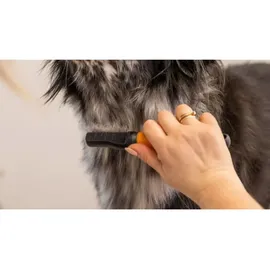 WAHL Dematter Pflegebürste für Hunde orange