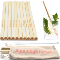 GERNEO® Strohhalm wiederverwendbar Bambus in Beige - 10er Set + Reinigungsbürste + Togo Bag - Rückgaberecht, kindergeeignet, umweltfreundlich & ohne Plastik