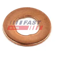 Fast Dichtring, Düsenhalter ft49845