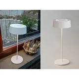 ECO-Light LED-Akku-Tischleuchte Cocktail dimmbar, weiß