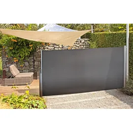 Garden Pleasure Seitenmarkise 300 x 160 cm anthrazit