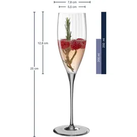 LEONARDO Sektglas Poesia Set, spülmaschinengeeignetes Champagnerglas, Höhe 25 cm, 250 ml, grau,