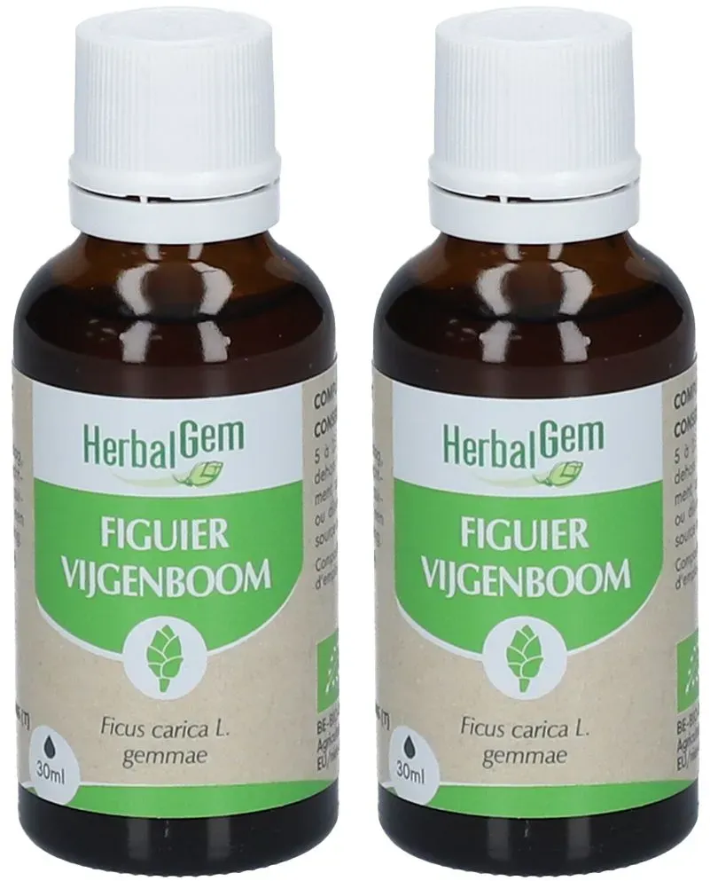 HerbalGem Bourgeons de Figuier Bio DUO