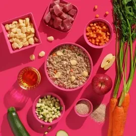 fred & felia FRED Schwein mit Spätzle 10 x 190 g