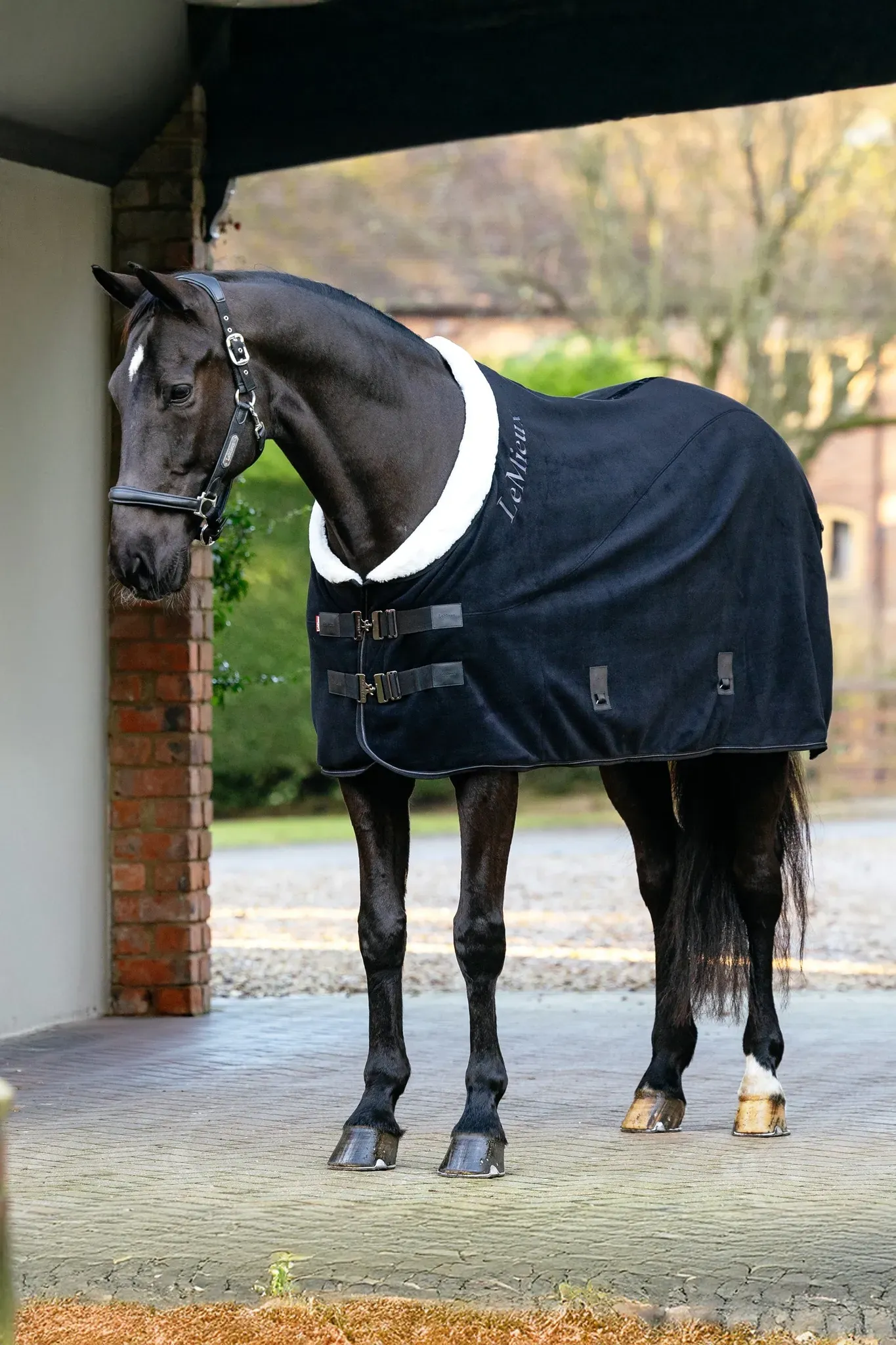 LeMieux Kudos Luxe Fleece-Decke