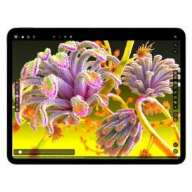 Apple iPad Pro 11" (5. Generation 2024) 1 TB Wi-Fi Silber