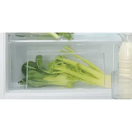 Bauknecht KSI 9VF2E Einbaukühlschrank (126 l, E, 875 mm hoch}, Weiß)