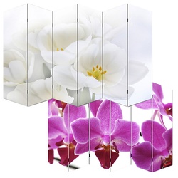 Foto-Paravent Paravent Raumteiler Trennwand M68 MVG-zertifiziert ~ 180x240cm, Orchidee