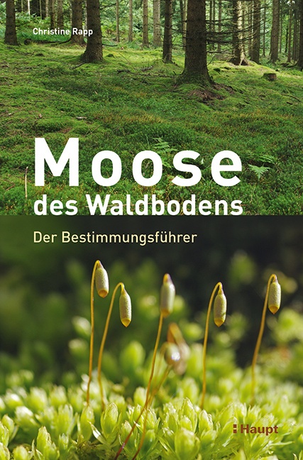 Moose Des Waldbodens - Christine Rapp  Gebunden