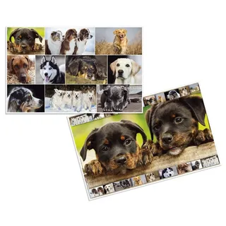 Herma Schreibtischunterlage Hunde 55x35cm