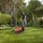 Black & Decker BEMW471BH-QS