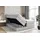 altdecor Boxspringbett RICAR KING - 160x200 - H3/H4 - Hellgrau