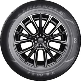 Triangle Protract TE301 195/50 R15 82V