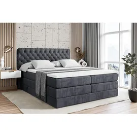 altdecor Boxspringbett BOXI8 KING - 160x200 - H3/H4 - Dunkelgrau