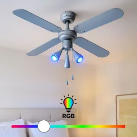 ETC Shop RGB LED Deckenventilator 102 cm Grau