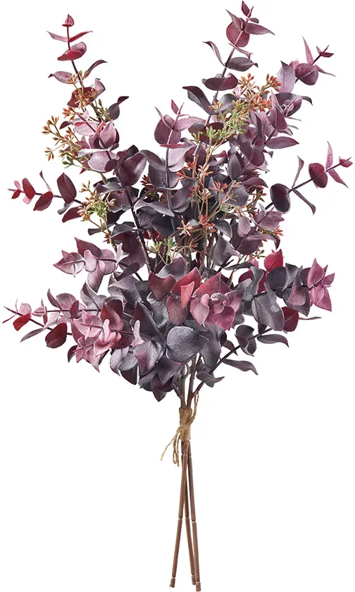Eucalyptus Bund x3 61cm burgund
