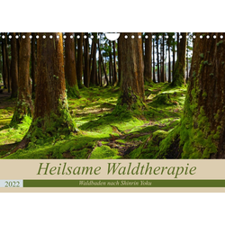 CALVENDO Wandkalender Heilsame Waldtherapie - Waldbaden nach Shinrin Yok 29.7 cm x 1 cm x 21.0 cm