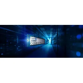 Kingston Data Center DC2000B - SSD - Enterprise - 960 GB - intern - M.2 2280 - PCIe 4.0 x4 (NVMe)