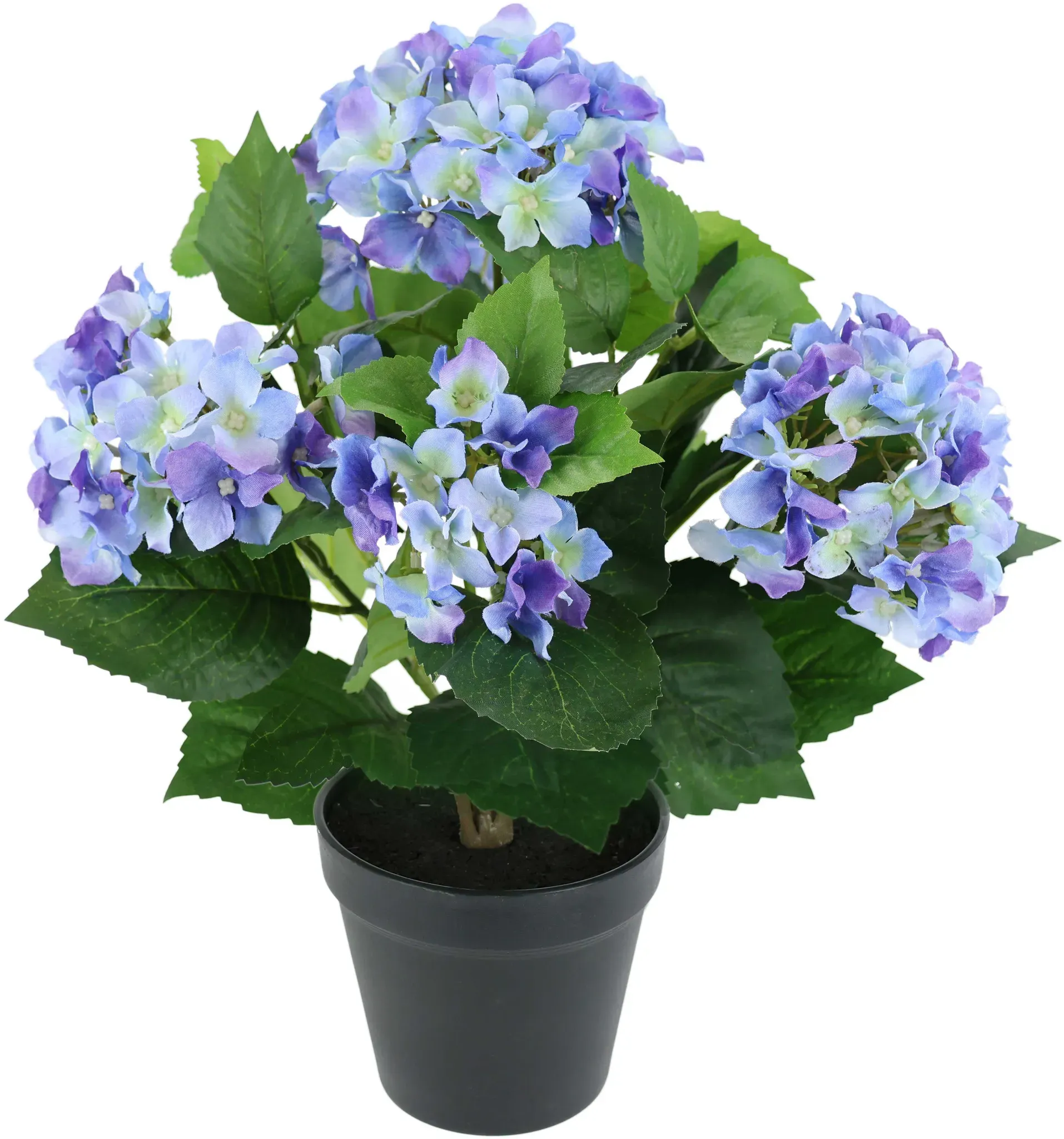 Kunstblume OTTO HOME 