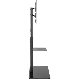 goobay TV-Bodenständer Basic (L) 65 cm Schwarz Glas/Metall/Stahl