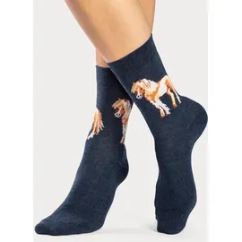 H.I.S. Socken 5-Paar Bunt 39-42