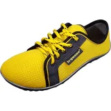 Leguano aktiv (27255322)