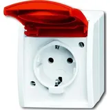 Busch-Jaeger Schuko-Steckdose 20 EW 1 St.