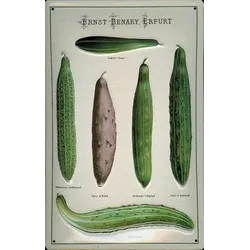 Blechschild „Ernst Benary, Erfurt“ „Gurken“