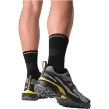 Salomon X Ultra 360 GTX Herren Castlerock/Black/Spicy Mustard 44