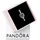 Pandora Blauer Heißluftballon Silber 798064NMB