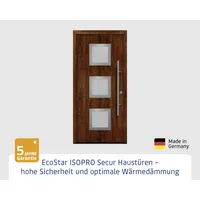 EcoStar Haustür ISOPRO Secur IPS 810S RC2 dark oak 110 x 210 cm