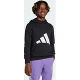 Adidas ESSENTIALS Hoodie Hooded Sweatshirt, Black/White,