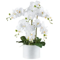 CREATIV green künstliche Pflanze Phalaenopsis, 60cm, "Real Touch"