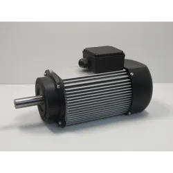 Metallkraft Motor MBSM 100-140-2 / 400V  1kW/1,5kW