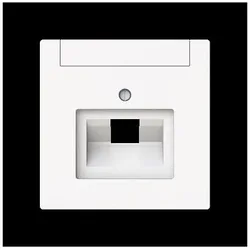 Busch-Jaeger Zentralscheibe 1-fach, UAE 1803-44M 2CKA001710A4220